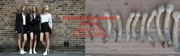a pvp Волосово