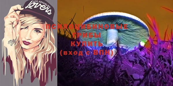 дмт Володарск